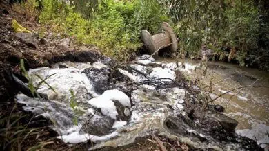 Desalinización y 7 titulares de tecnología limpia relacionados con Israel, semana del 28 de junio de 2009 7 Desalinización y 7 titulares de tecnología limpia relacionados con Israel, semana del 28 de junio de 2009