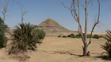 La desertificación en Egipto pone en peligro el suministro de alimentos 8 La desertificación en Egipto pone en peligro el suministro de alimentos