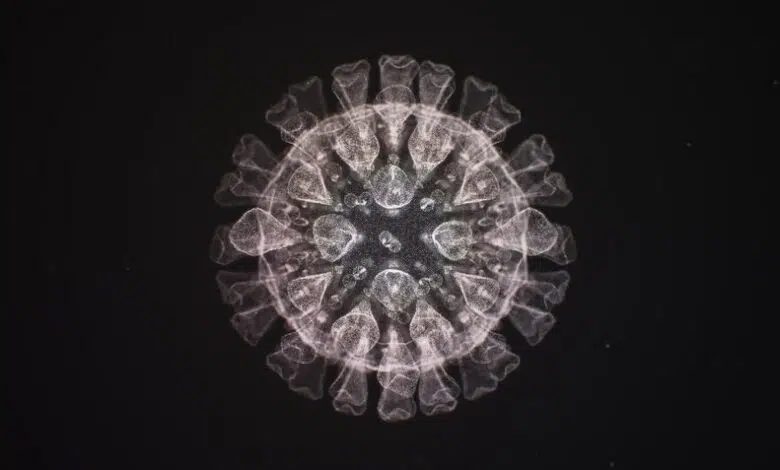 La mutación del coronavirus no parece haber cambiado mucho hasta ahora 1 La mutación del coronavirus no parece haber cambiado mucho hasta ahora