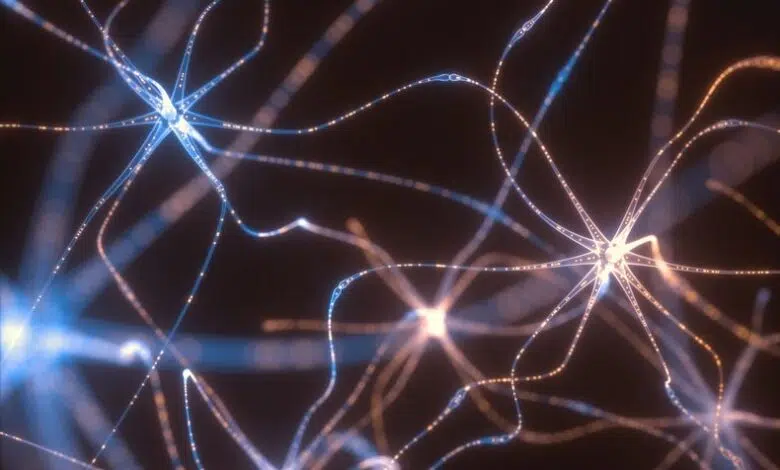 Las ondas cerebrales 'viajeras' pueden ser críticas para la cognición 1 Las ondas cerebrales 'viajeras' pueden ser críticas para la cognición