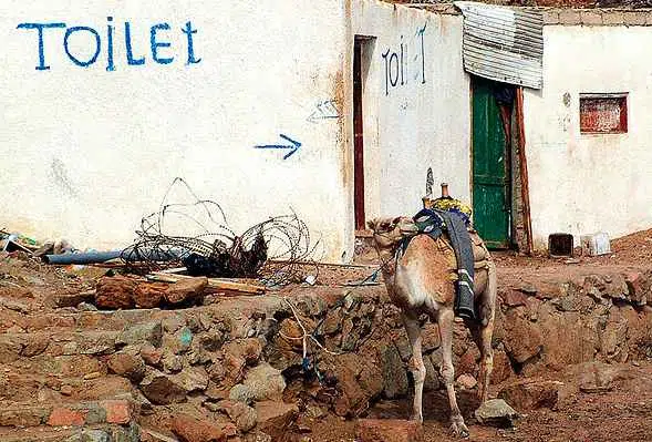 Los egipcios con escasez de agua utilizan las aguas residuales para los cultivos 1 egypt irrigation sewage