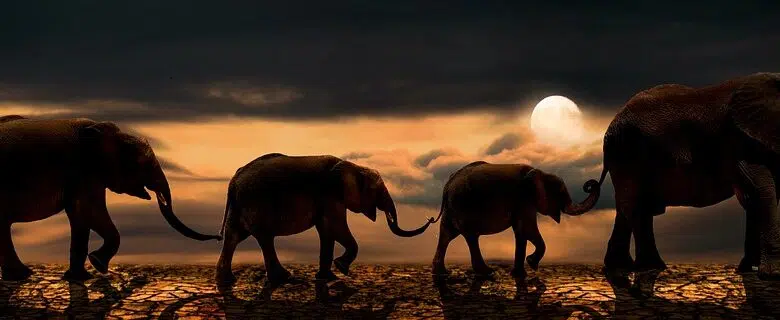 Los estados rojos buscan impedir que Biden actualice los indicadores climáticos clave 1 Los estados rojos buscan impedir que Biden actualice los indicadores climáticos clave