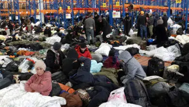 'Millones' de inmigrantes llegarán a Europa si los controles son laxos 8 'Millones' de inmigrantes llegarán a Europa si los controles son laxos