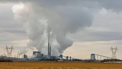 Pasos críticos para limitar el aumento de la temperatura global a 1,5°C 9 Pasos críticos para limitar el aumento de la temperatura global a 1,5°C