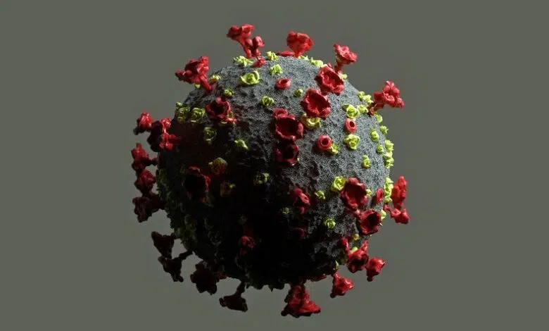 Por qué Estados Unidos está subestimando las reinfecciones por coronavirus 1 Por qué Estados Unidos está subestimando las reinfecciones por coronavirus
