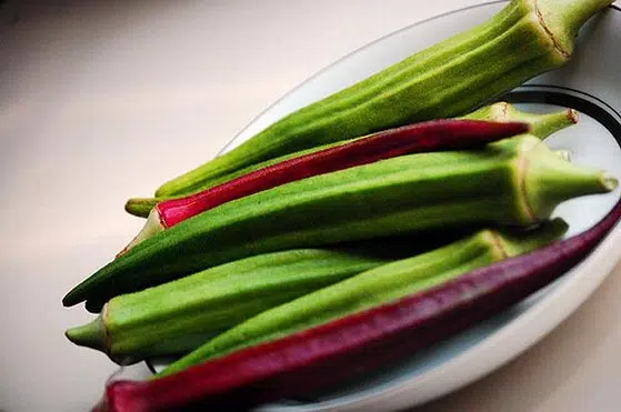 Receta de okra libanesa en aceite de oliva 1 image-okra