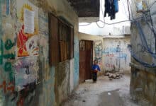 Reverdecimiento de los campos de refugiados libaneses