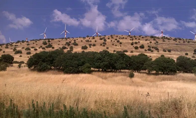 Sin paz Siria-Israel, los parques naturales de paz no pueden funcionar, dice profesor israelí 1 Sin paz Siria-Israel, los parques naturales de paz no pueden funcionar, dice profesor israelí