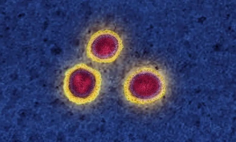 ¿Cómo evolucionará el coronavirus? 1 ¿Cómo evolucionará el coronavirus?