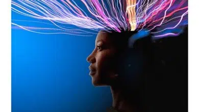 ¿Los dispositivos digitales están cambiando nuestro cerebro? 7 ¿Los dispositivos digitales están cambiando nuestro cerebro?