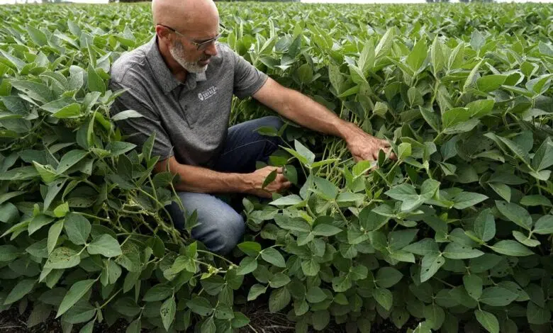 ¿Puedes cultivar 2 cultivos en lugar de 1? --Chicago Tribune 1 ¿Puedes cultivar 2 cultivos en lugar de 1? --Chicago Tribune