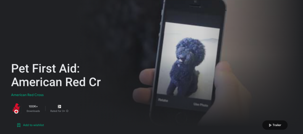 Las 8 mejores aplicaciones móviles para amantes y dueños de gatos 2 amante de los gatos