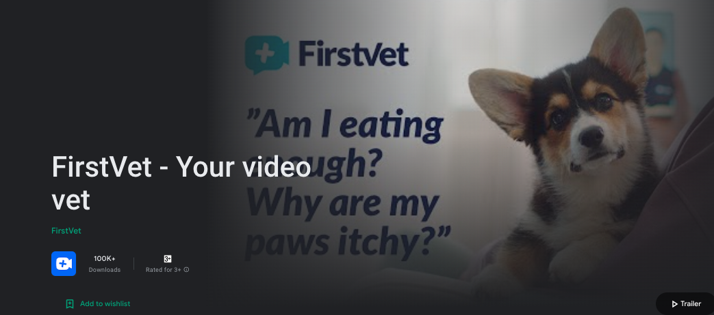 Las 8 mejores aplicaciones móviles para amantes y dueños de gatos 4 amante de los gatos