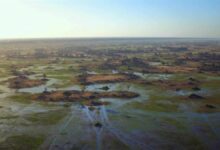 Cinco tecnologías e innovaciones para ayudar a proteger el río Okavango