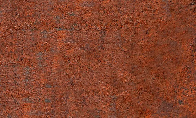 El arándano que gana la partida | Ocio y Cultura 1 El arándano que gana la partida | Ocio y Cultura