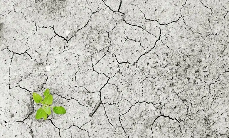 Ola de calor occidental sin cambio climático 'casi imposible' 1 Ola de calor occidental sin cambio climático 'casi imposible'