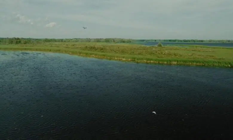 Protegiendo las maravillas de los humedales de Canadá 1 Protegiendo las maravillas de los humedales de Canadá