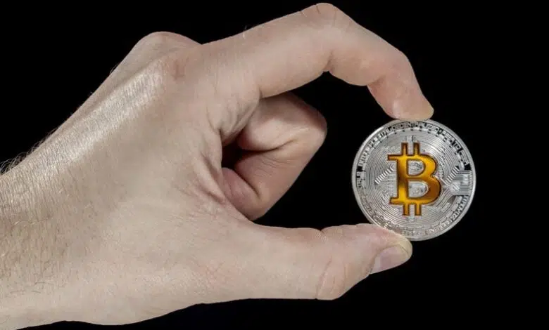 ¿Alguna vez has comprado bitcoin?Tu anatomía cerebral puede ser la culpable 1 ¿Alguna vez has comprado bitcoin?Tu anatomía cerebral puede ser la culpable