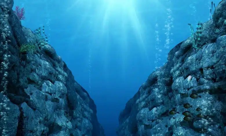 ¿Cuál es el lugar más profundo de los océanos de la Tierra? 1 A digital rendering of the Mariana Trench, the deepest place in the Pacific Ocean and the world.