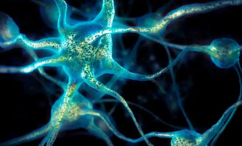 3 tecnologías cerebrales a tener en cuenta en 2022 1 3 tecnologías cerebrales a tener en cuenta en 2018