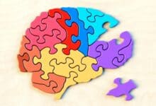 Descifrando el código enigma del cerebro