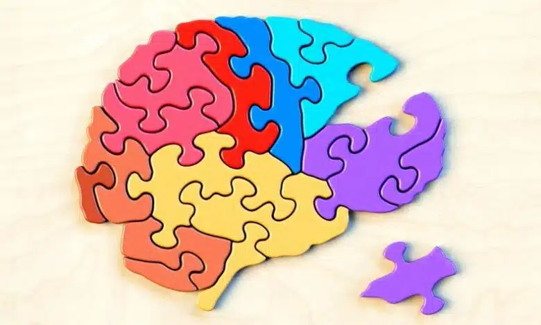 Descifrando el código enigma del cerebro 1 Descifrando el código enigma del cerebro