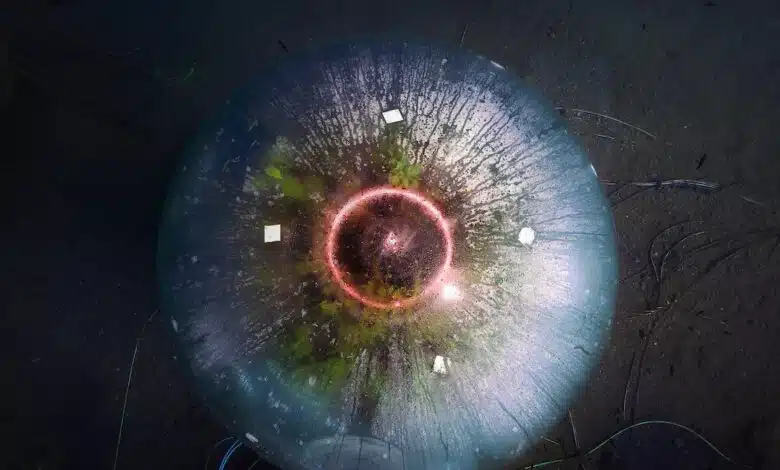 Echa un vistazo a Gardens of Nemo, una granja submarina surrealista 1 Echa un vistazo a Gardens of Nemo, una granja submarina surrealista