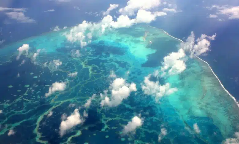 El área marina protegida más grande del mundo parece estar funcionando 1 El área marina protegida más grande del mundo parece estar funcionando