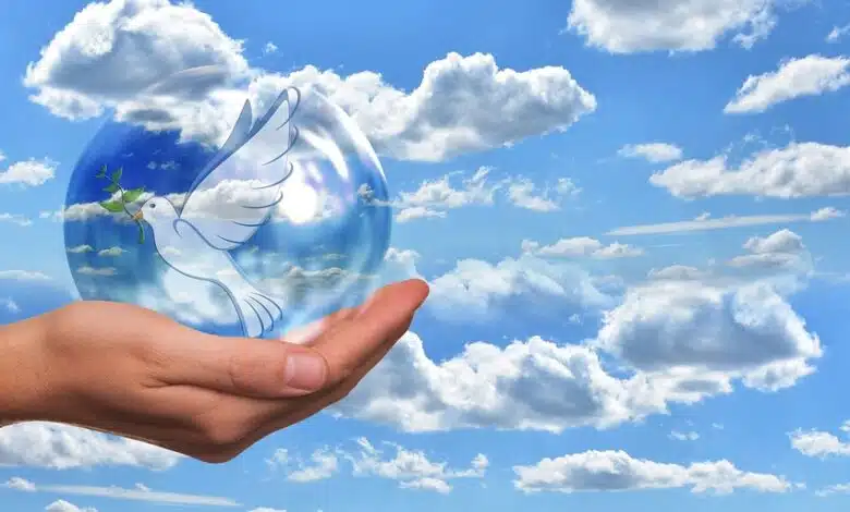 Enorme plataforma de hielo se derrumba más rápido de lo esperado 1 Enorme plataforma de hielo se derrumba más rápido de lo esperado