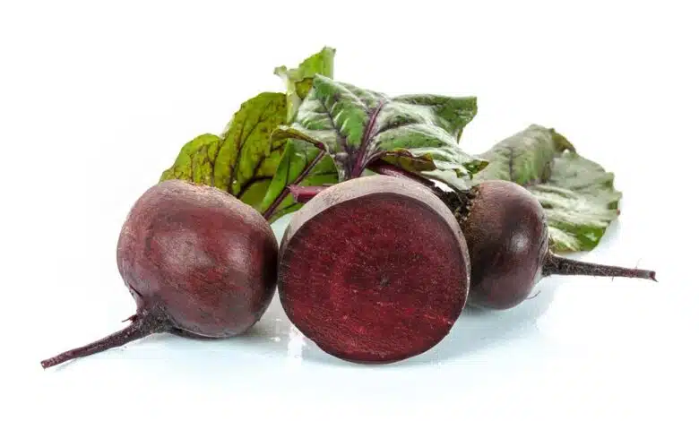 Océanos ácidos vinculados a la peor extinción masiva en la Tierra 1 Océanos ácidos vinculados a la peor extinción masiva en la Tierra