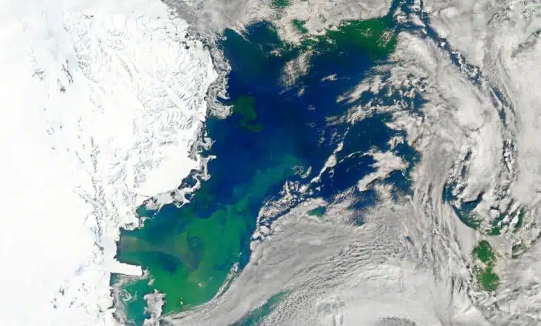 Desafiando la lógica, la 'floración del fondo' podría sustentar ecosistemas ocultos en el Ártico y la Antártida 1 A surface phytoplankton bloom in the Ross Sea in Antarctica captured by NASA
