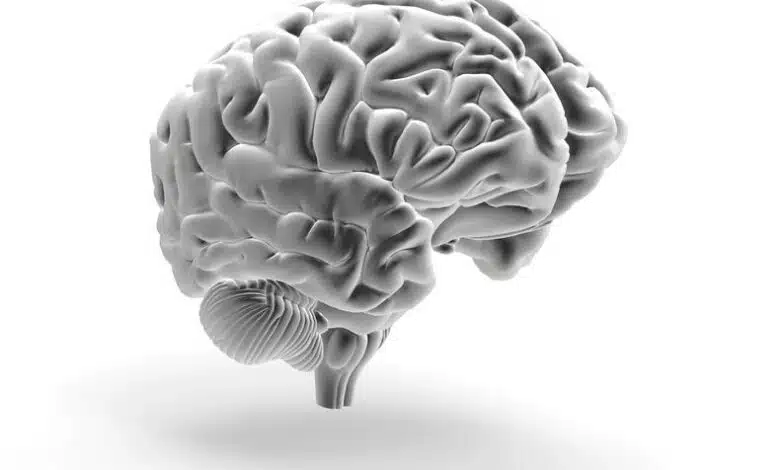 La tecnología en las películas de Harry Potter enfoca la magia del cerebro 1 La tecnología en las películas de Harry Potter enfoca la magia del cerebro