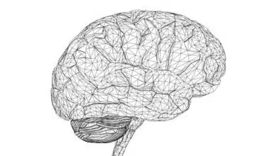 Sleep bloquea los malos recuerdos, y más de la sección Megabrain 8 Sleep bloquea los malos recuerdos, y más de la sección Megabrain