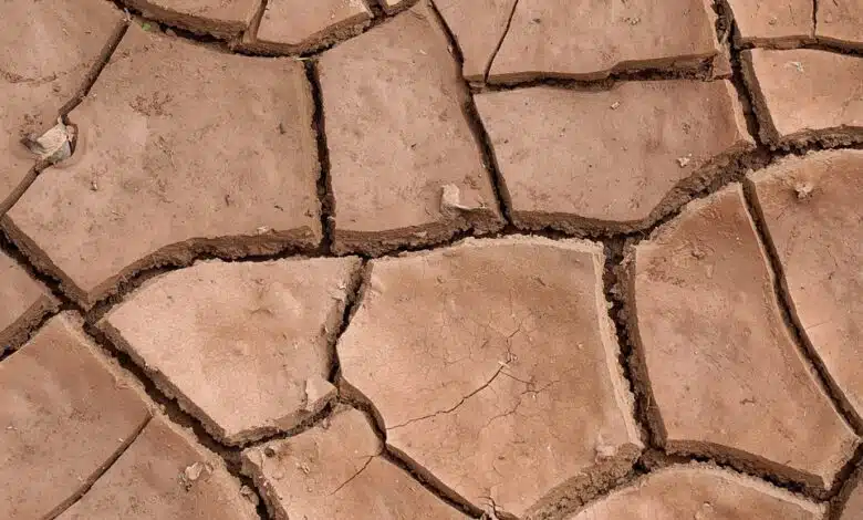 Biden dice que la infraestructura es la columna vertebral de su plan climático 1 Biden dice que la infraestructura es la columna vertebral de su plan climático