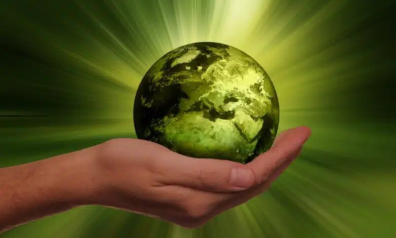 Cuidado con los lémures: el cambio climático se está apoderando de tu tierra 1 Cuidado con los lémures: el cambio climático se está apoderando de tu tierra