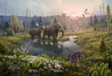 An artists impression of the newly discovered ecosystem in Greenland as it might have looked 2 million years ago. DNA samples show that reindeer, hared, birds and elephant-like creatures called mastodons once roamed the area. The climate was likely much warmer than it is today.