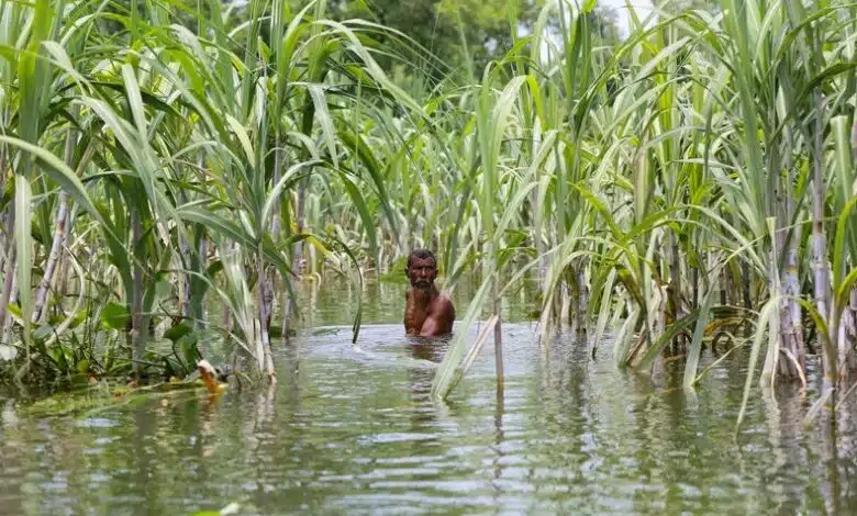 El COVID y los desastres meteorológicos chocan y afectan a millones de personas en todo el mundo 1 El COVID y los desastres meteorológicos chocan y afectan a millones de personas en todo el mundo