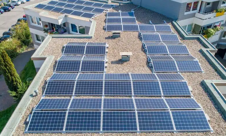Estamos viviendo una emergencia climática, esto es lo que decimos 1 Estamos viviendo una emergencia climática, esto es lo que decimos