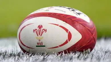 Investigación de WRU: el director ejecutivo Steve Phillips renuncia, incitado por la directora de Cardiff, Hayley Parsons | Noticias de la unión de rugby 12 Investigación de WRU: el director ejecutivo Steve Phillips renuncia, incitado por la directora de Cardiff, Hayley Parsons | Noticias de la unión de rugby