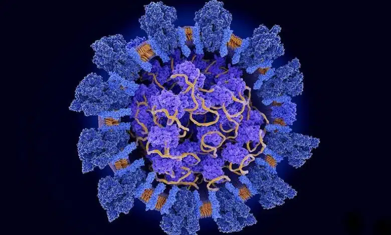 La 'proteína en miniatura' hecha en laboratorio evita que el coronavirus infecte las células 1 La 'proteína en miniatura' hecha en laboratorio evita que el coronavirus infecte las células