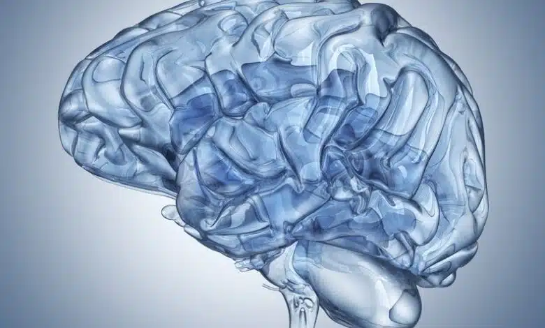 Posible terapia cerebral antienvejecimiento se muestra prometedora en ratones 1 Posible terapia cerebral antienvejecimiento se muestra prometedora en ratones