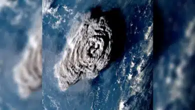 A zoomed-in view of the Tonga eruption, taken by Japan