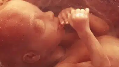 Los fetos pueden responder a las caras mientras están en el útero