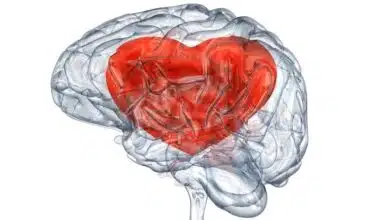 ¿Qué está pasando en nuestro cerebro cuando estamos enamorados?
