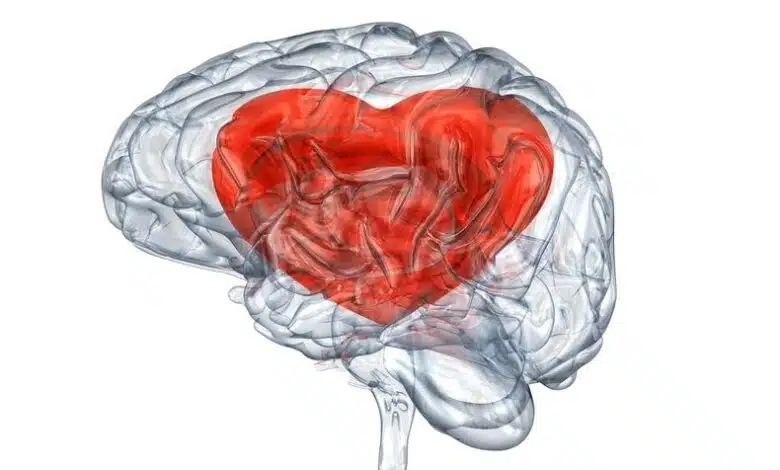 ¿Qué está pasando en nuestro cerebro cuando estamos enamorados? 1 ¿Qué está pasando en nuestro cerebro cuando estamos enamorados?