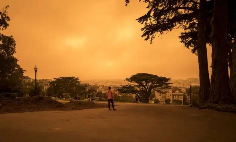 ¿Qué hay en el humo de los incendios forestales y por qué es tan malo para los pulmones? 1 ¿Qué hay en el humo de los incendios forestales y por qué es tan malo para los pulmones?