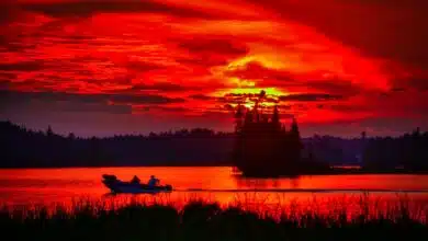 Cinco cosas que no sabías sobre la orden del día climático de Biden 6 Cinco cosas que no sabías sobre la orden del día climático de Biden