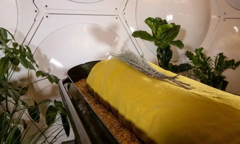 Compostaje humano, cremación con agua y otras nuevas tendencias de entierro 'verdes' 1 Compostaje humano, cremación con agua y otras nuevas tendencias de entierro 'verdes'