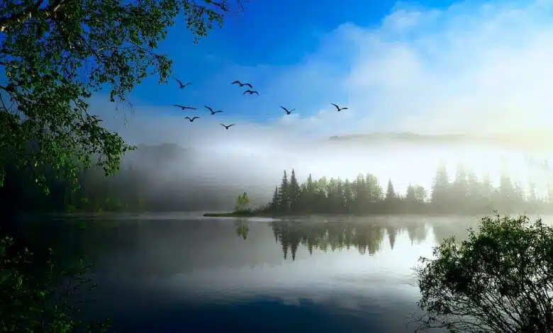 Obama habla sobre el ébola y el clima en su SOTU 1 Obama habla sobre el ébola y el clima en su SOTU