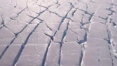 Cracks in the Thwaites Glacier of West Antarctica, which has the potential to contribute 1.6 feet (0.5 meters) of sea-level rise over several centuries, should it collapse.